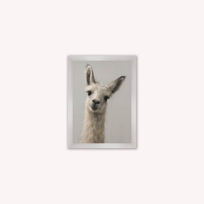 Curious Llama Framed Wall Art