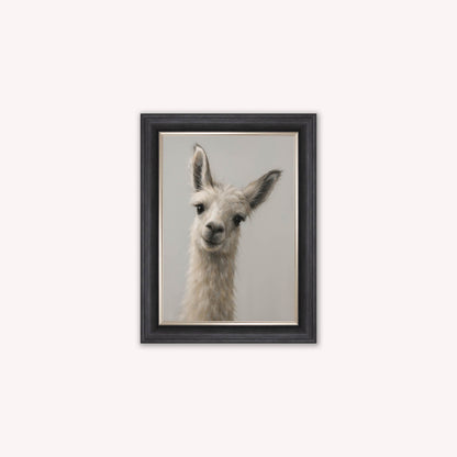 Curious Llama Framed Wall Art