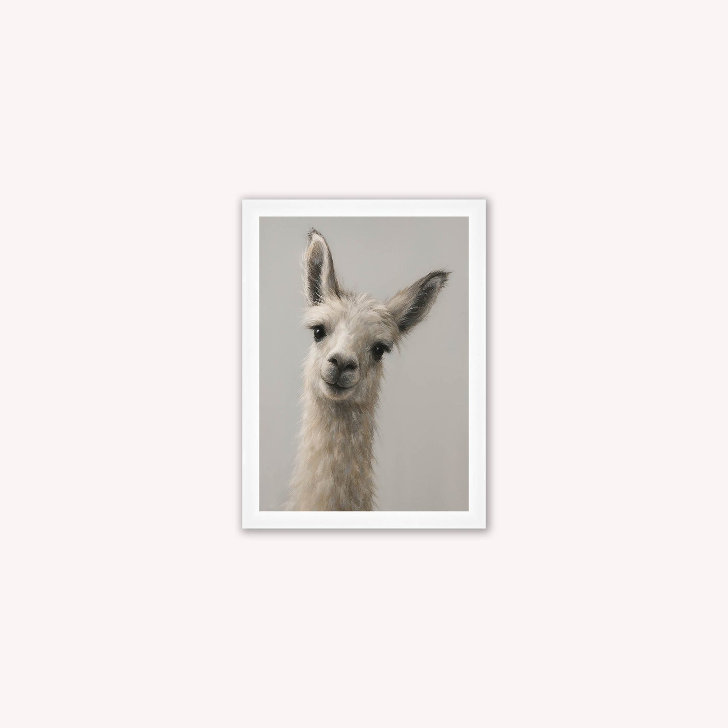 Curious Llama Framed Wall Art