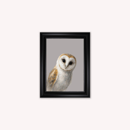 Curious Owl Framed Wall Art