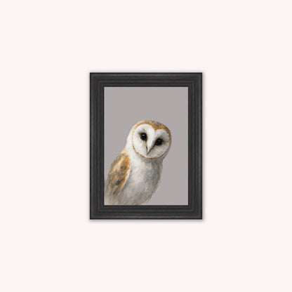 Curious Owl Framed Wall Art