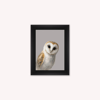 Curious Owl Framed Wall Art