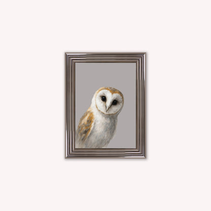 Curious Owl Framed Wall Art