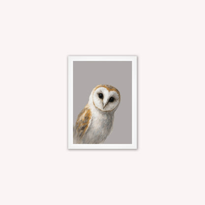 Curious Owl Framed Wall Art