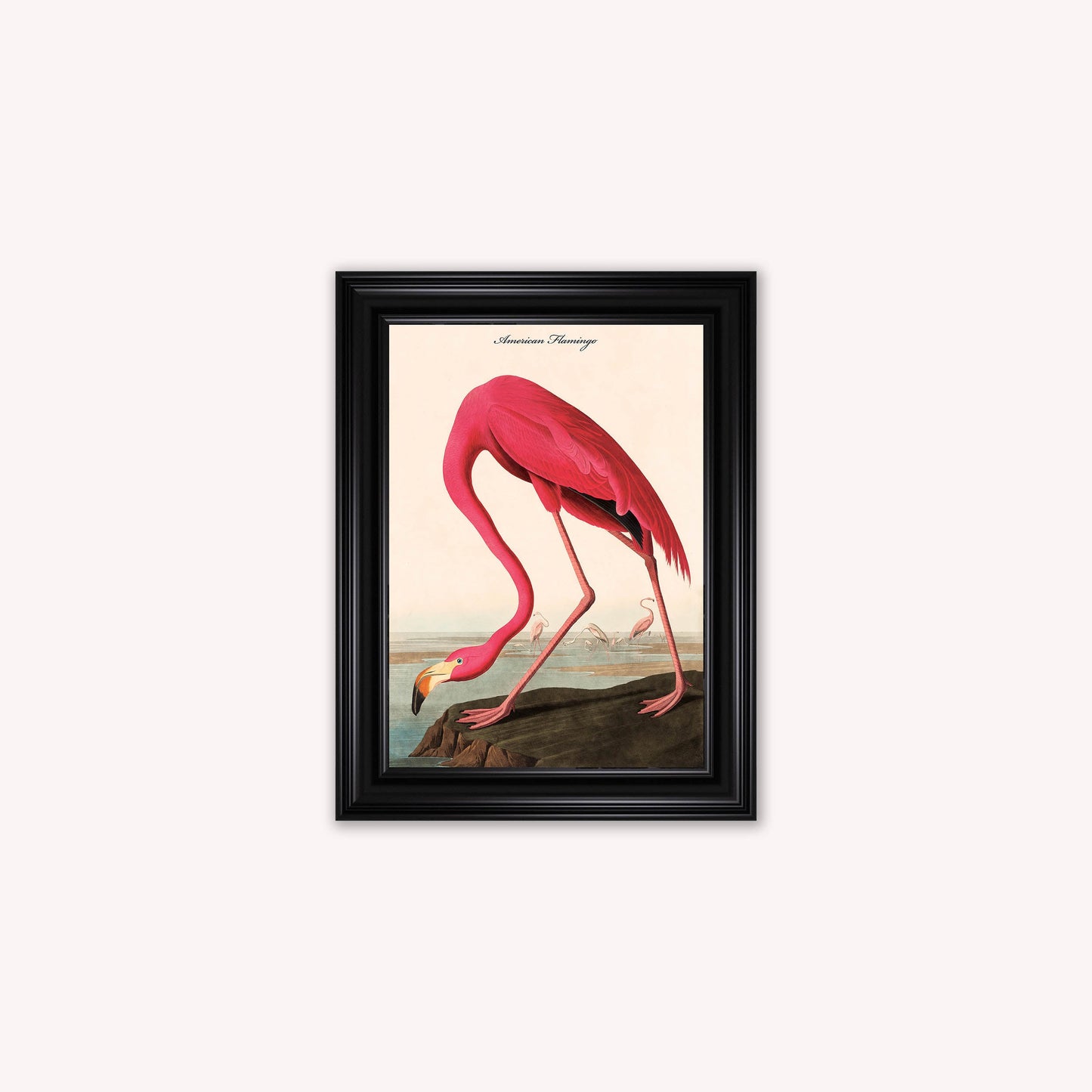 Luxury Velvet Art Print - Vintage Birds - American Flamingo Framed Wall Art