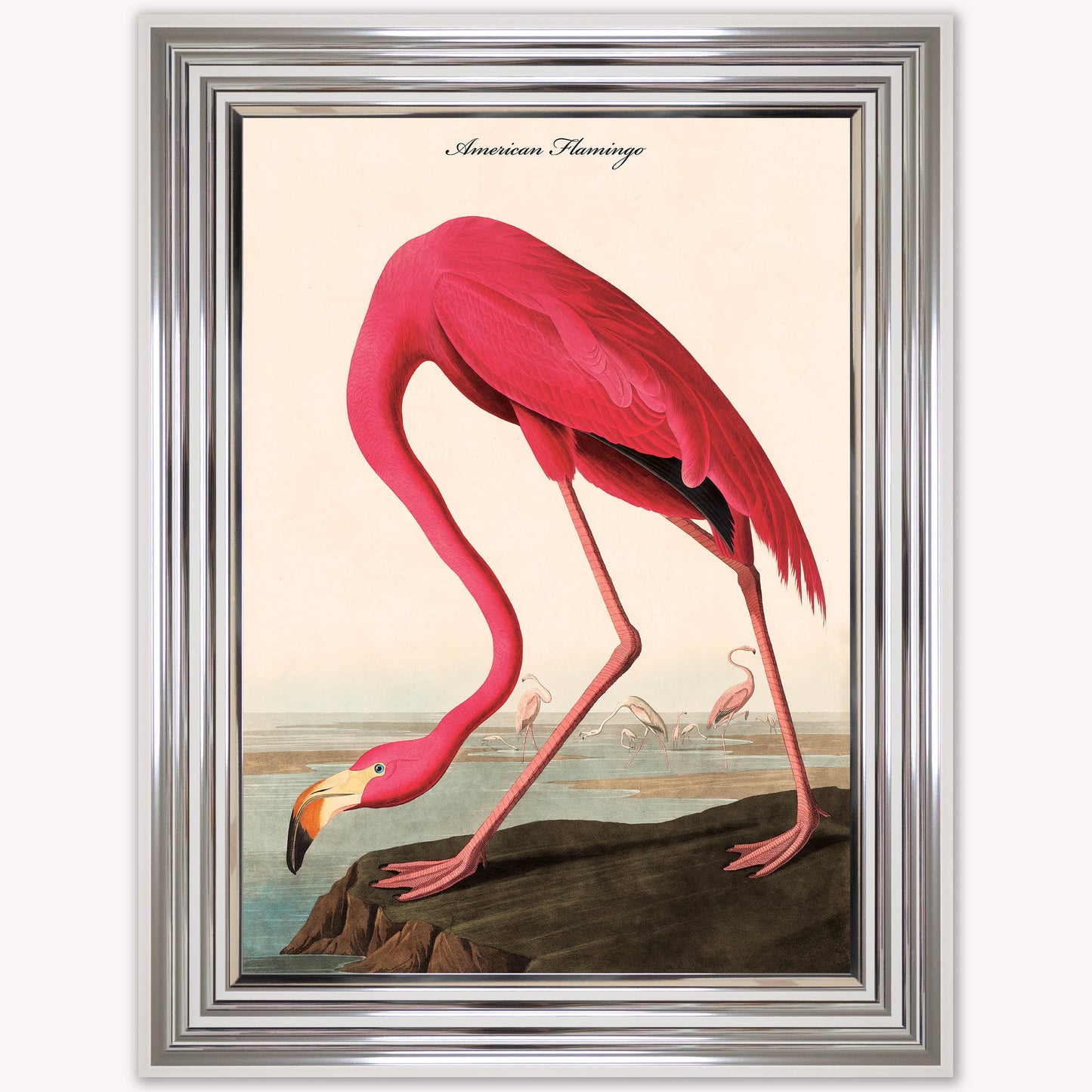 Luxury Velvet Art Print - Vintage Birds - American Flamingo Framed Wall Art