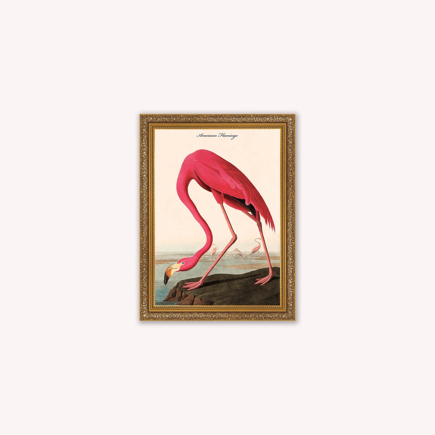 Luxury Velvet Art Print - Vintage Birds - American Flamingo Framed Wall Art