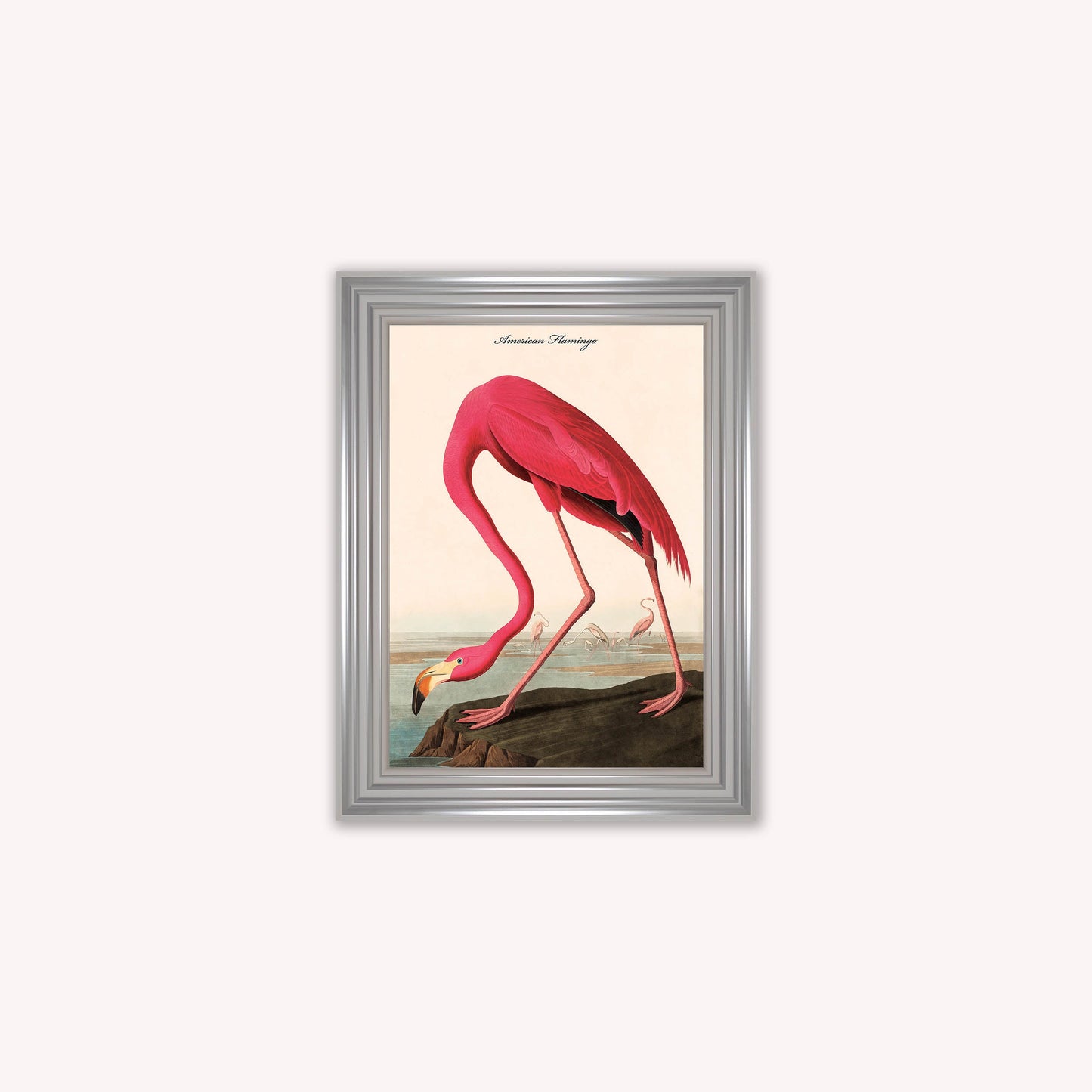 Luxury Velvet Art Print - Vintage Birds - American Flamingo Framed Wall Art
