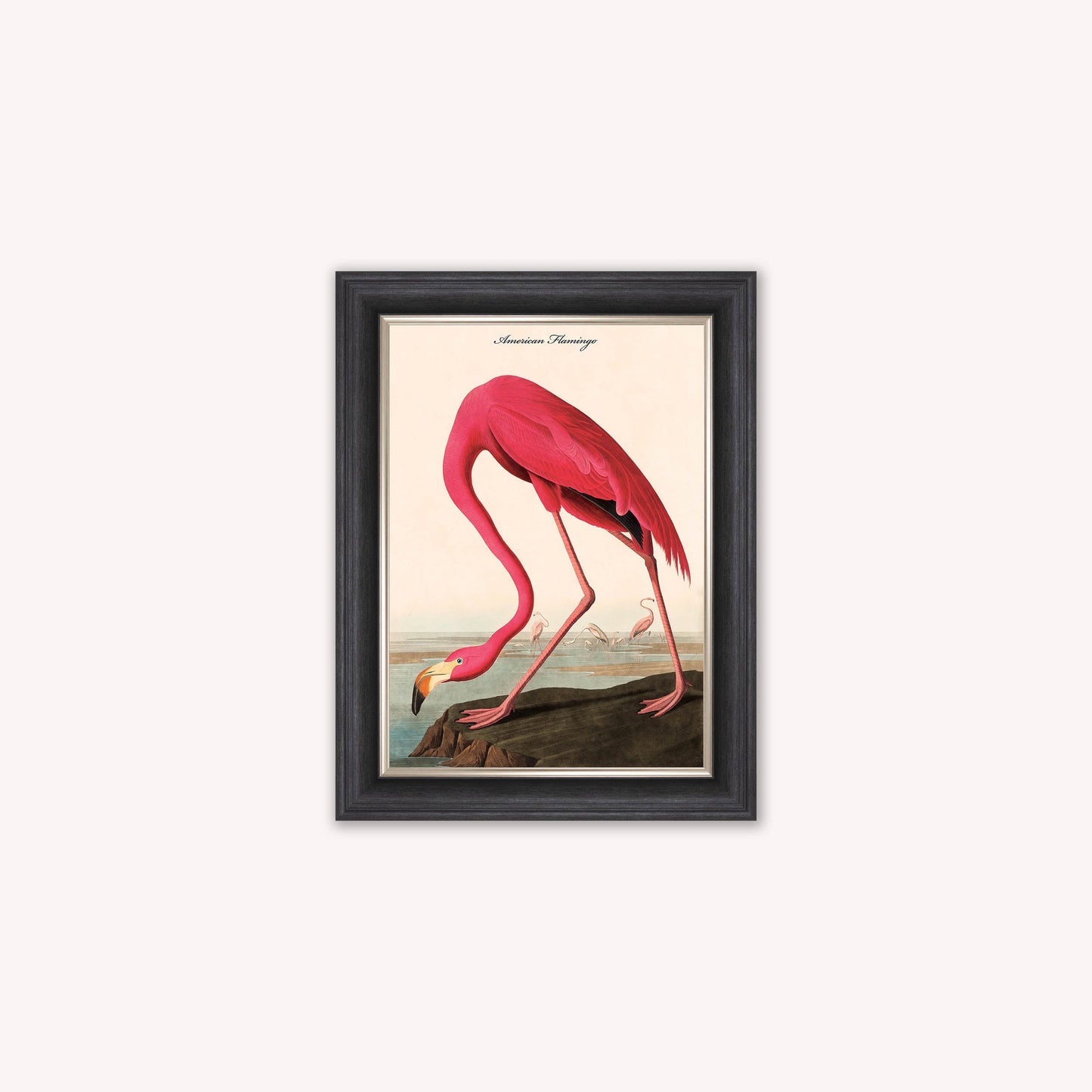 Luxury Velvet Art Print - Vintage Birds - American Flamingo Framed Wall Art