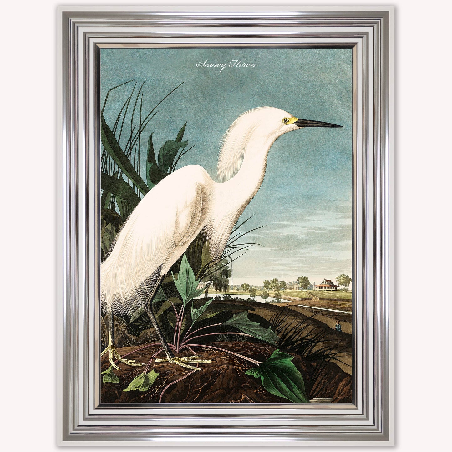 Luxury Velvet Art Print - Vintage Birds - Snowy Heron Framed Wall Art