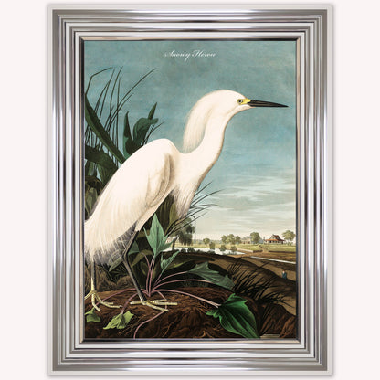 Luxury Velvet Art Print - Vintage Birds - Snowy Heron Framed Wall Art
