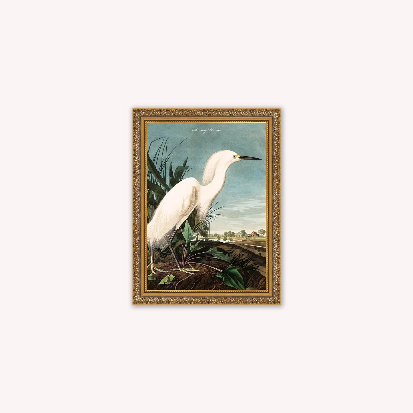 Luxury Velvet Art Print - Vintage Birds - Snowy Heron Framed Wall Art
