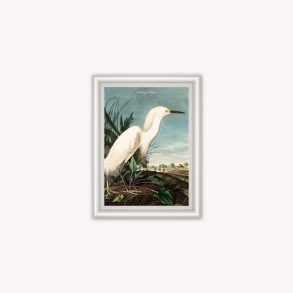 Luxury Velvet Art Print - Vintage Birds - Snowy Heron Framed Wall Art
