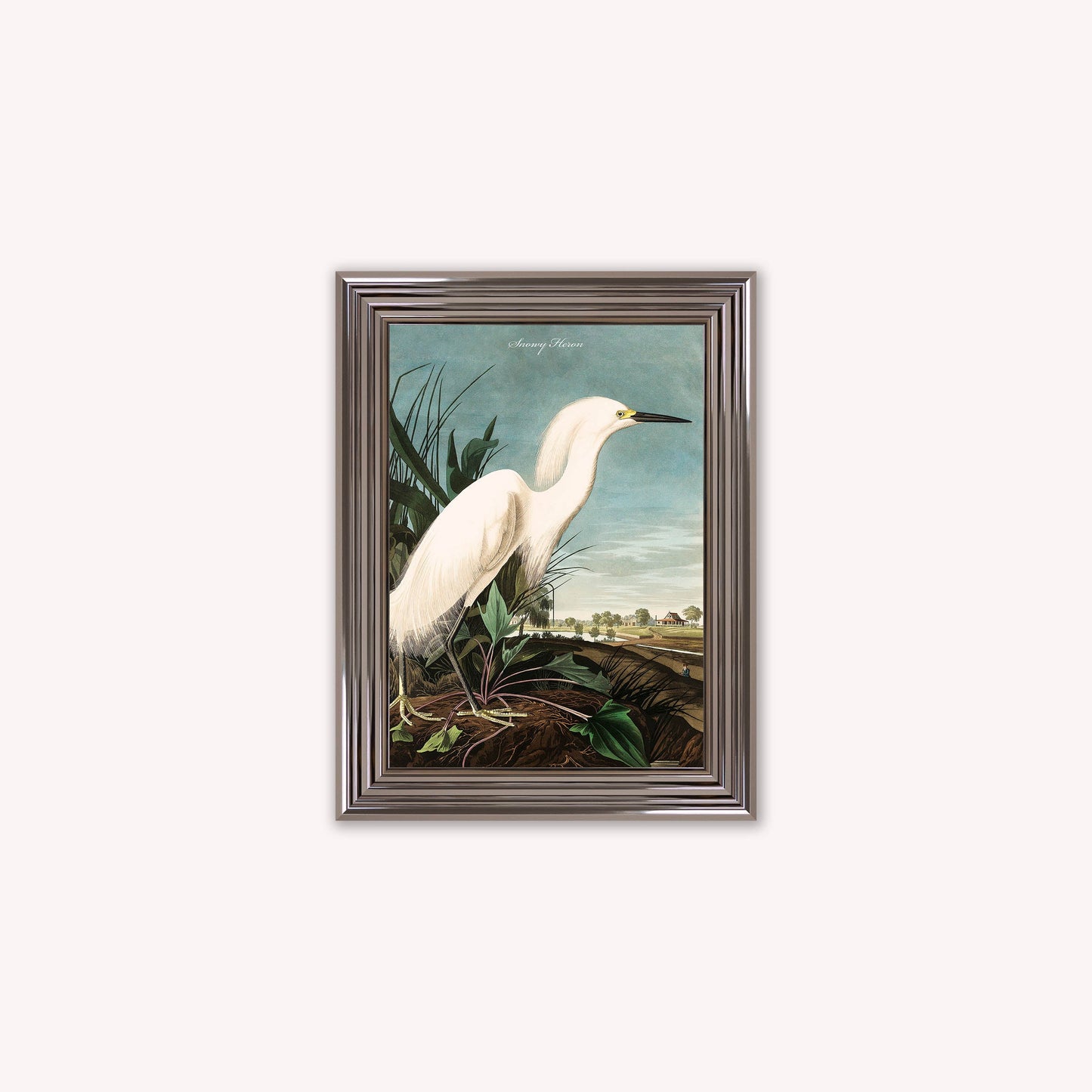 Luxury Velvet Art Print - Vintage Birds - Snowy Heron Framed Wall Art