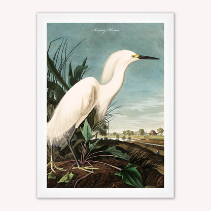 Luxury Velvet Art Print - Vintage Birds - Snowy Heron Framed Wall Art