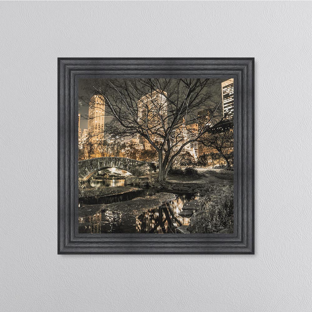 Central Park Framed Wall Art