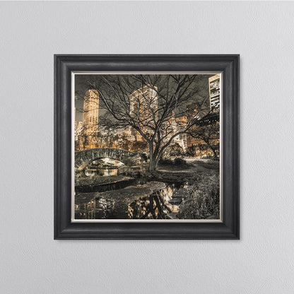 Central Park Framed Wall Art