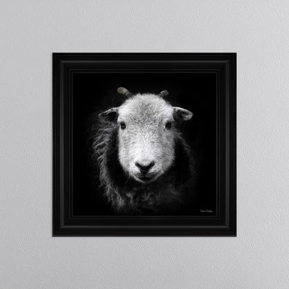 Sid The Sheep Framed Wall Art