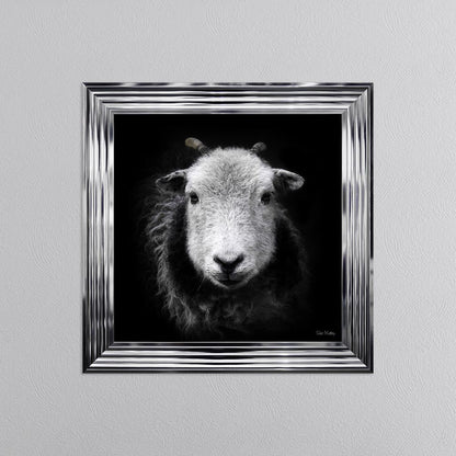 Sid The Sheep Framed Wall Art