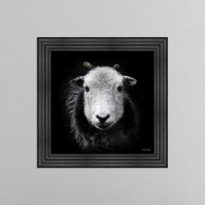 Sid The Sheep Framed Wall Art