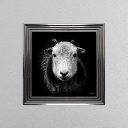 Sid The Sheep Framed Wall Art