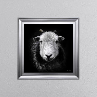 Sid The Sheep Framed Wall Art