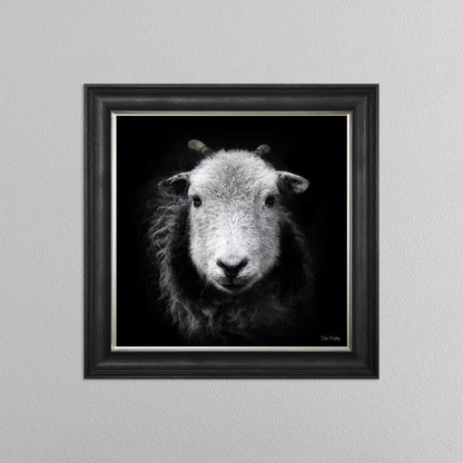 Sid The Sheep Framed Wall Art