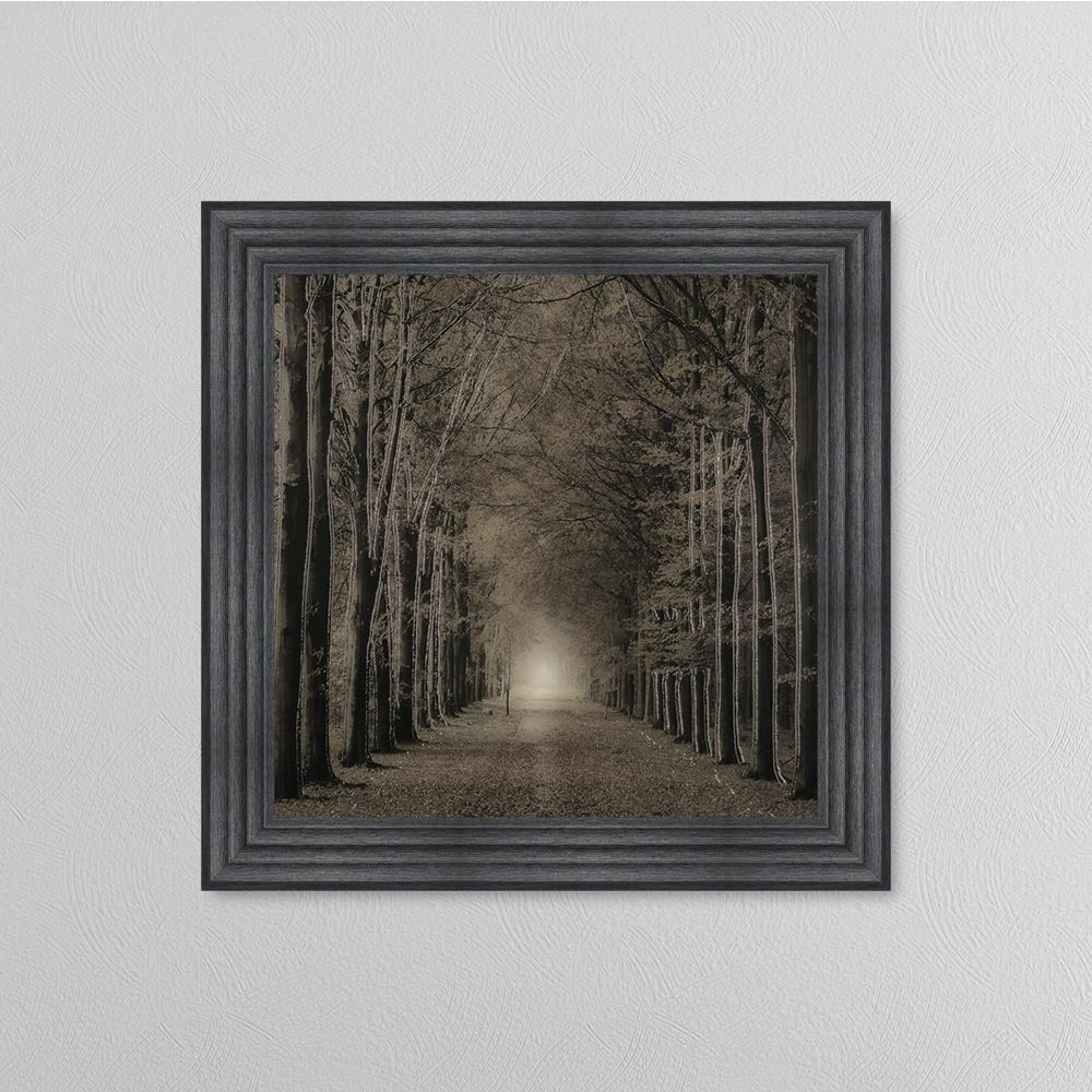 Woodland Path Framed Wall Art