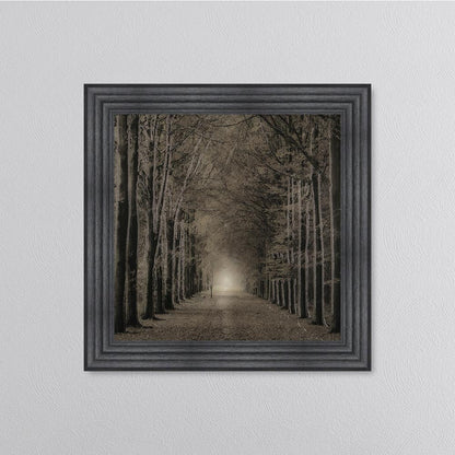 Woodland Path Framed Wall Art