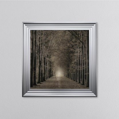 Woodland Path Framed Wall Art