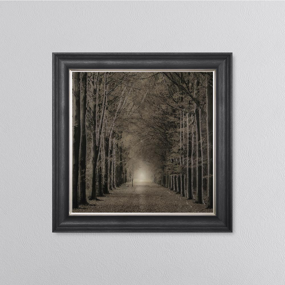 Woodland Path Framed Wall Art