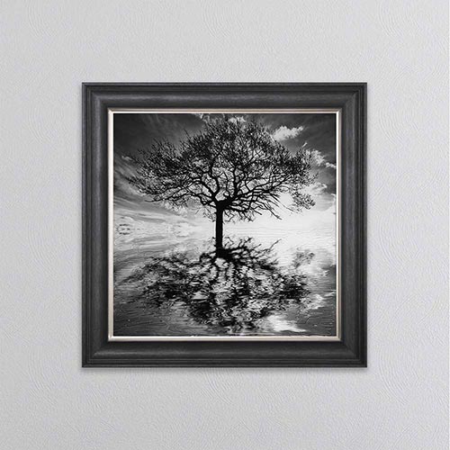 Tree Reflections Framed Wall Art
