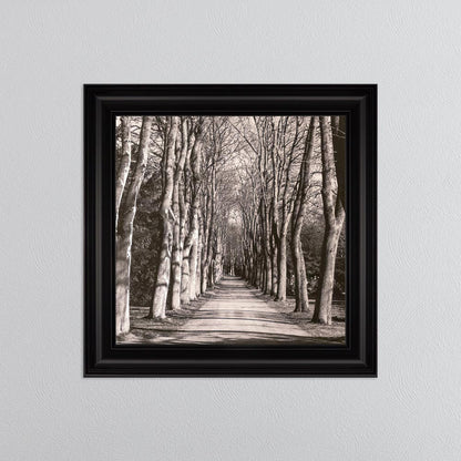 Mono Path with Silver Foil Embellishment - Framed Wall Art