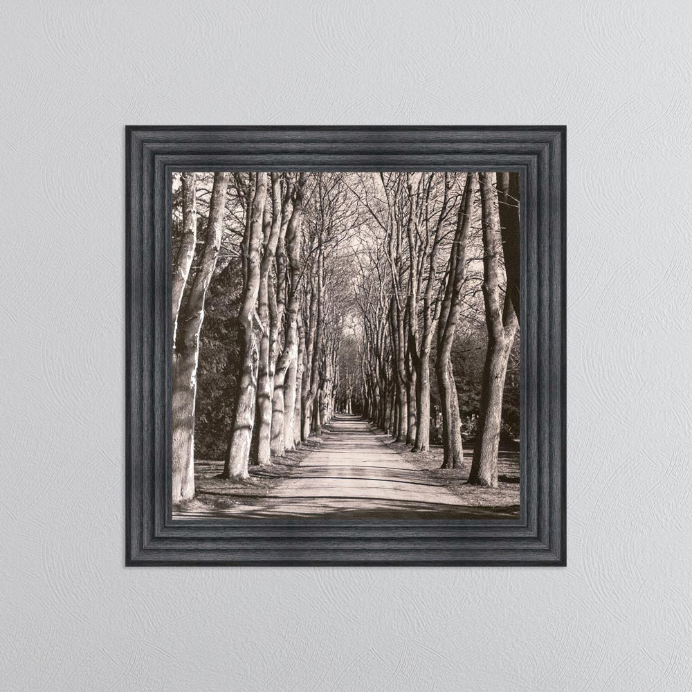Mono Path with Silver Foil Embellishment - Framed Wall Art