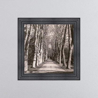 Mono Path with Silver Foil Embellishment - Framed Wall Art