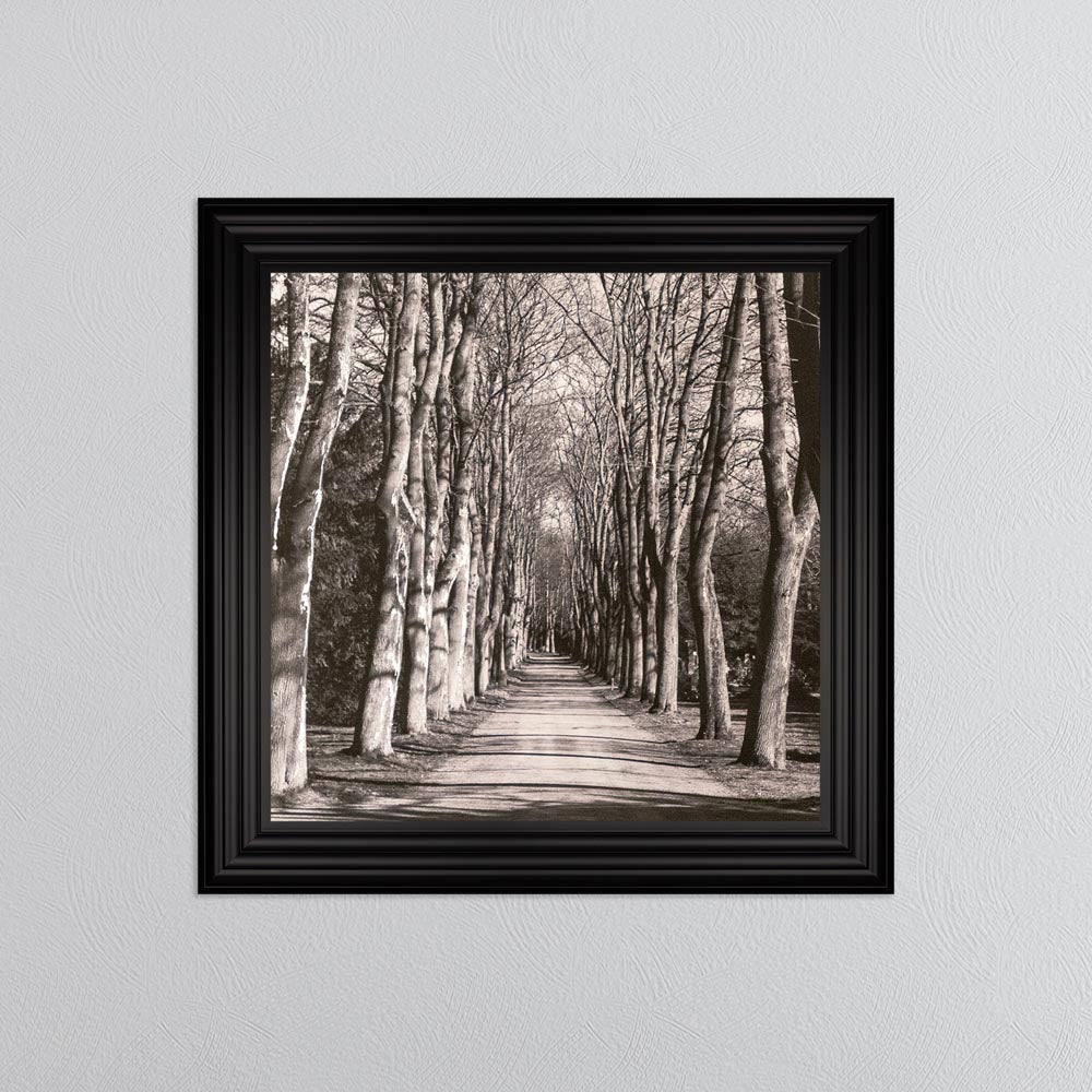 Mono Path with Silver Foil Embellishment - Framed Wall Art