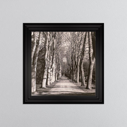Mono Path with Silver Foil Embellishment - Framed Wall Art
