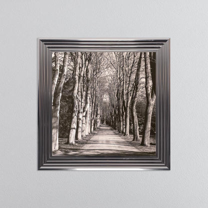 Mono Path with Silver Foil Embellishment - Framed Wall Art