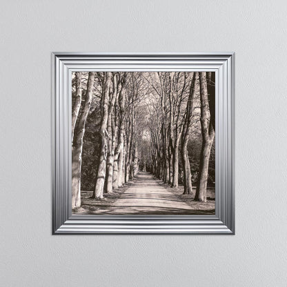 Mono Path with Silver Foil Embellishment - Framed Wall Art