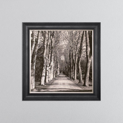 Mono Path with Silver Foil Embellishment - Framed Wall Art