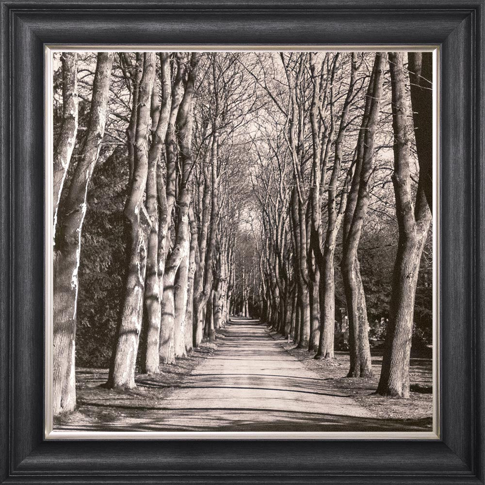 Mono Path with Silver Foil Embellishment - Framed Wall Art