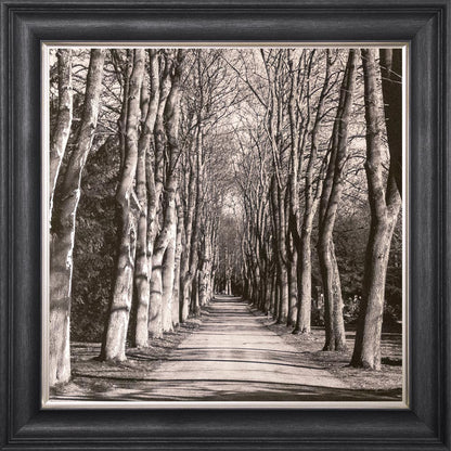 Mono Path with Silver Foil Embellishment - Framed Wall Art
