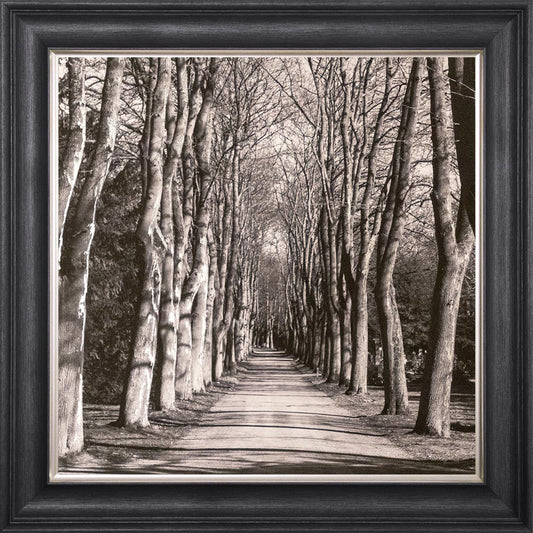 Mono Path with Silver Foil Embellishment - Framed Wall Art