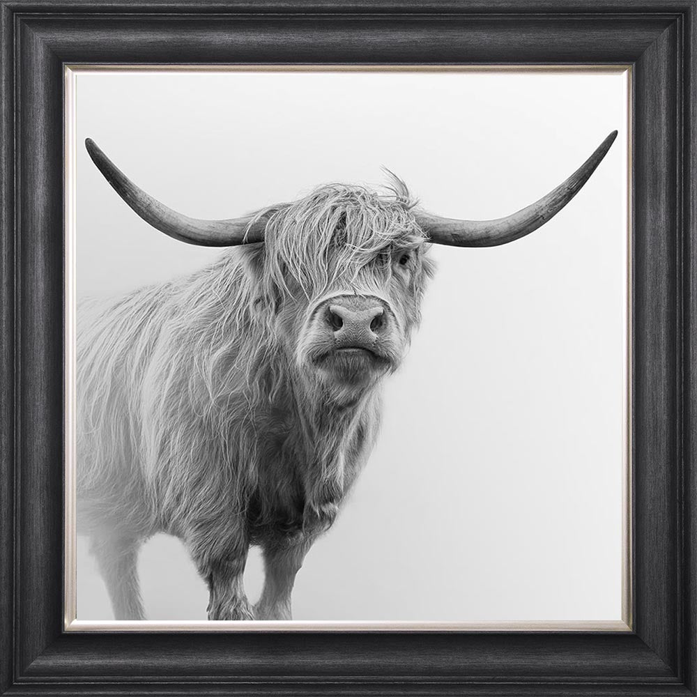 Grey And White Highland Cow Framed Wall Art