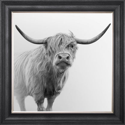 Grey And White Highland Cow Framed Wall Art