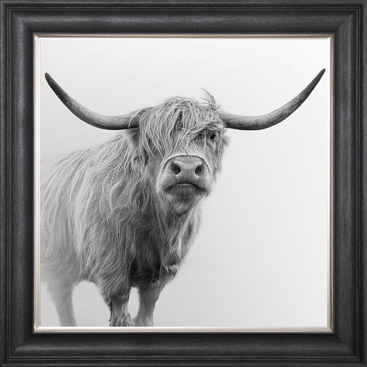 Grey And White Highland Cow Framed Wall Art