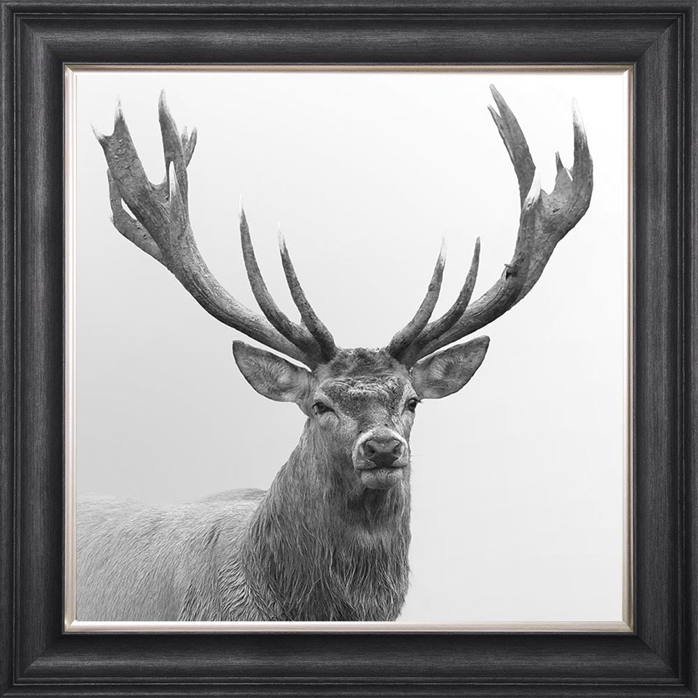 Grey And White Stag Framed Wall Art