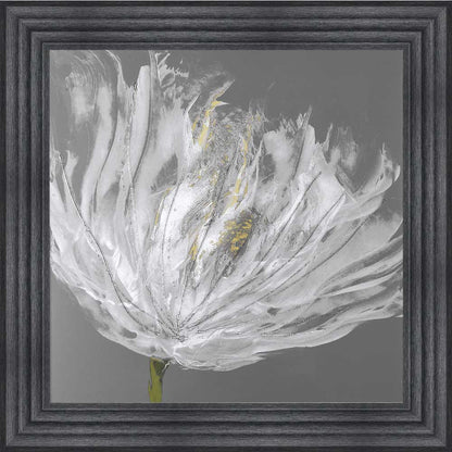 Single White Tulip Framed Wall Art