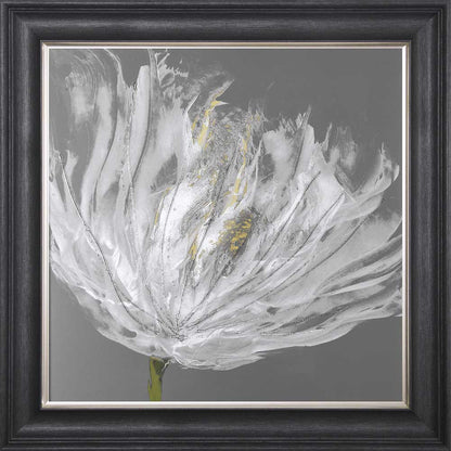 Single White Tulip Framed Wall Art