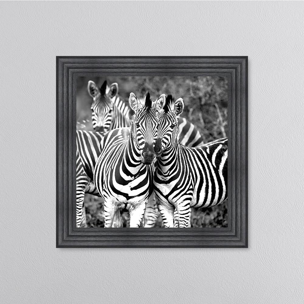 Zebras In The Wild Framed Wall Art
